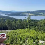 Pod Lipenskou Hrazi * Loučovice