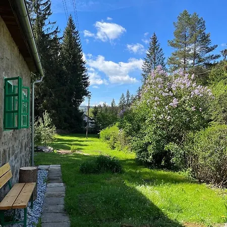 Holiday home Pod Lipenskou Hrazi *
