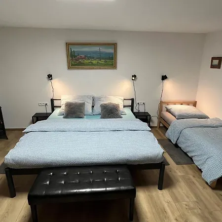 Pod Lipenskou Hrazi Holiday home *