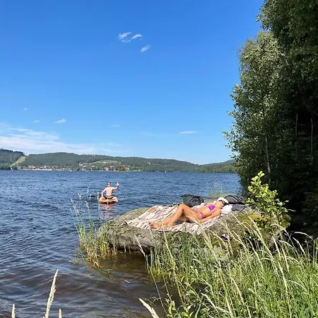Pod Lipenskou Hrazi