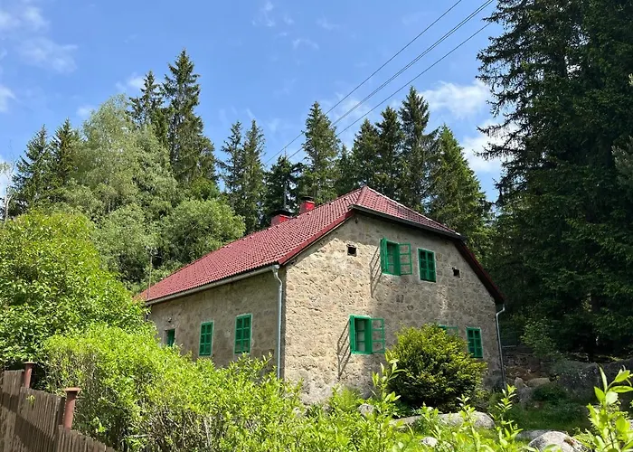 Pod Lipenskou Hrází * Loučovice