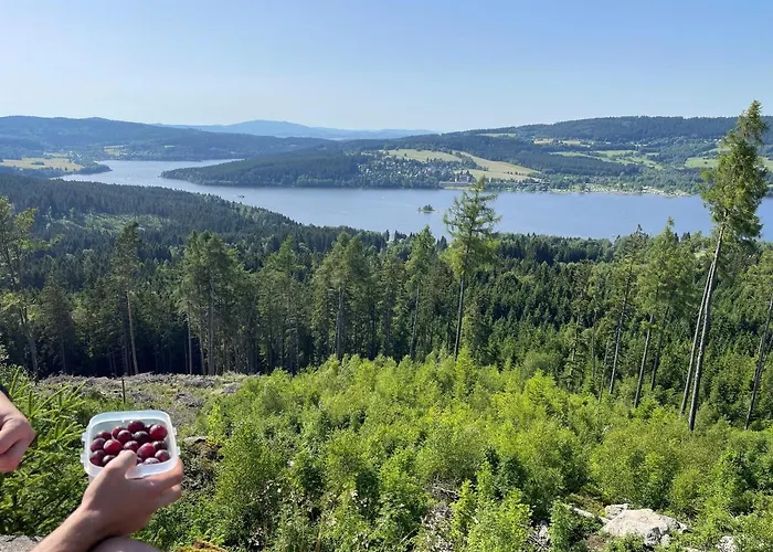 Pod Lipenskou Hrází * Loučovice